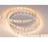 Светодиодная лента Arlight RT-A168-10mm, 24V, Day-MIX SWITCH, изм.ЦТ вкл-в 5м 036215 3