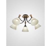 Потолочный светильник Мелодия Света P5725-5 BK 000020877