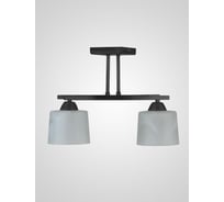 Потолочный светильник Мелодия Света SS5274-2 BK 000061920