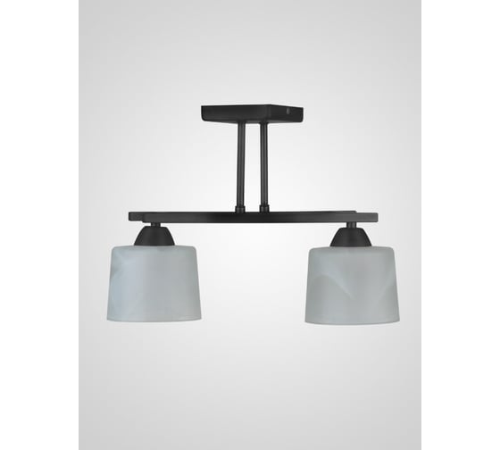 Потолочный светильник Мелодия Света SS5274-2 BK 000061920 1