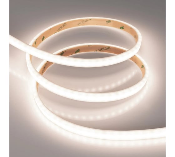 Светодиодная герметичная лента Arlight RTW-PSW-A120-10mm 24V Day4000 , 5 л 5м 040709