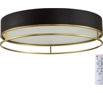 Потолочный светильник СОНЕКС LED 65W LOFTY 7723/65L
