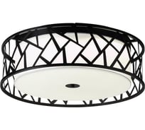 Потолочный светильник СОНЕКС LED 60W FABIANA 7700/60L