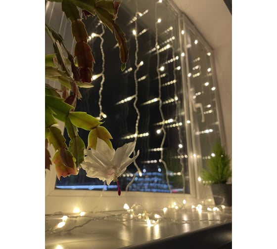 Гирлянда ЭРА ENOZ2B Дождь, занавес, 1мх2м, теплый свет, 96 LED, 24V, IP44 Б0041908