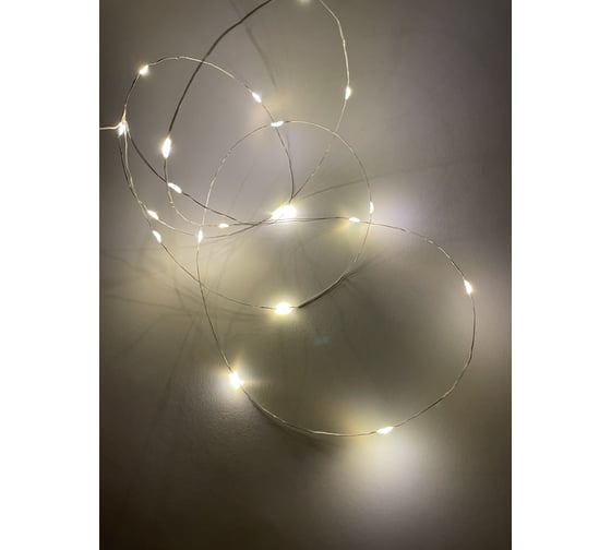 Гирлянда ЭРА ENIN2B LED Нить, 2 м, теплый свет, АА, IP20 Б0041891