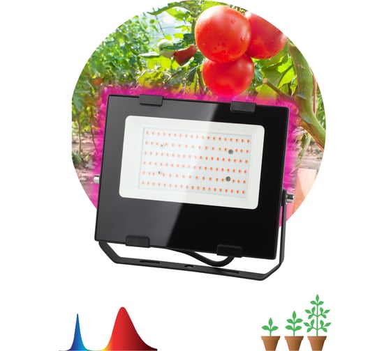 Светодиодный фитопрожектор для растений ЭРА FITO-50W-RB-LED для цветения и плодоношения Б0046368