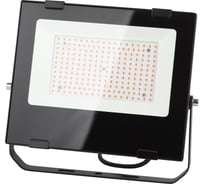 Светодиодный фитопрожектор для растений ЭРА FITO-100W-RB-LED красно-синего спектра 100 Вт Б0046369