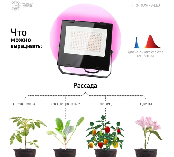 Светодиодный фитопрожектор для растений ЭРА FITO-100W-RB-LED красно-синего спектра 100 Вт Б0046369