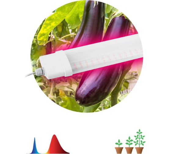 Линейный светильник красно-синего спектра ЭРА FITO36WRBN Б0045697