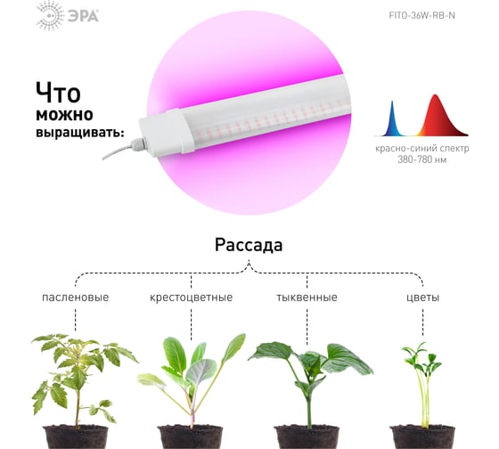 Линейный светильник красно-синего спектра ЭРА FITO36WRBN Б0045697
