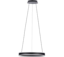 Люстра Citilux Дуэт черный CL719401