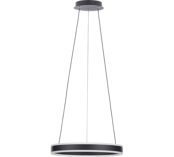 Люстра Citilux Дуэт черный CL719401 1
