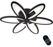 Потолочный светодиодный светильник Omnilux florinas OML-49317-60