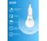 Лампа Gauss LED Elementary A60 10W E27 950lm 6500K 23230 5