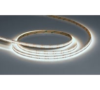 Светодиодная лента ARTE LAMP 24v 14,4w/m 6000к 5м tape A2424010-03-6K