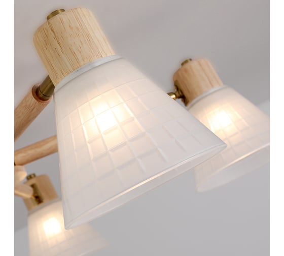 Потолочная люстра ARTE LAMP meleph A4096PL-5BR