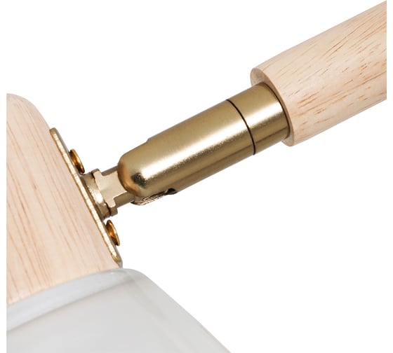 Потолочная люстра ARTE LAMP meleph A4096PL-5BR