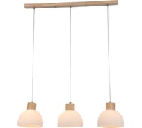 Подвесной светильник ARTE LAMP caprice A4184SP-3BR