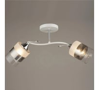 Потолочная люстра ВИНКРУС WT-CR, E27x2x60W C1424/2