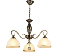 Подвесная люстра ВИНКРУС AB, E27x5x60W C0754/3