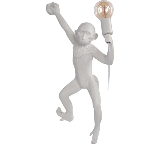 Настенный светильник LOFT IT Monkey 10314W/B