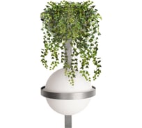 Настенный светильник LOFT IT Jardin 10121W/B Dark grey