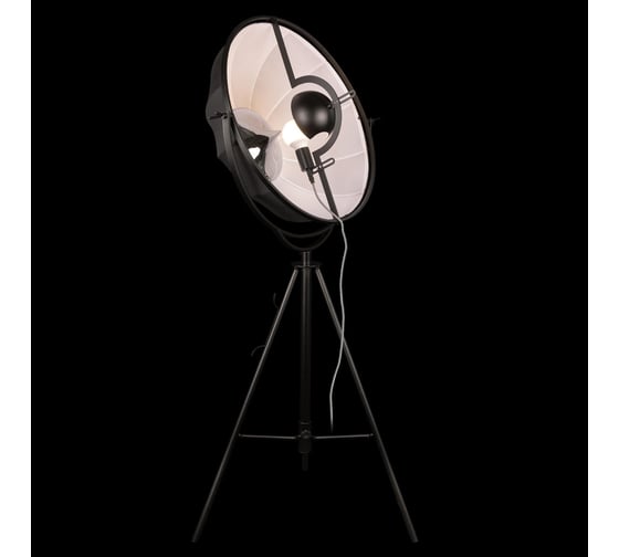 Торшер LOFT IT Studio 10301/M
