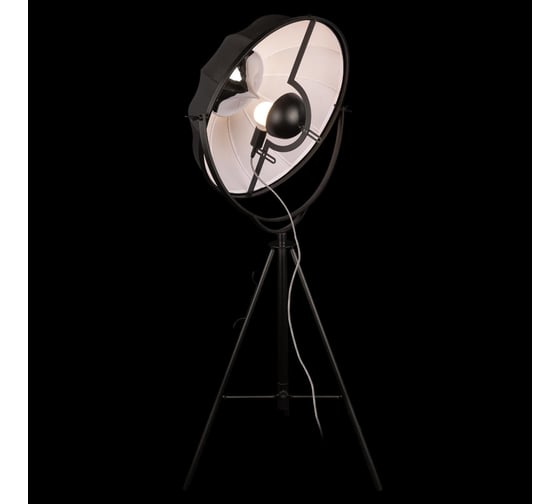 Торшер LOFT IT Studio 10301/M