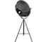 Торшер LOFT IT Studio 10301/M 5