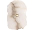 Настенный светильник LOFT IT Alicante 10248/1W 5