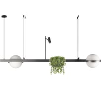 Подвесной светильник LOFT IT Jardin 10121/D Dark grey