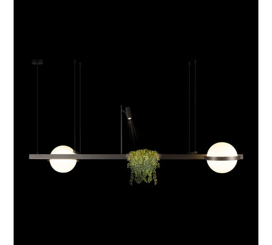 Подвесной светильник LOFT IT Jardin 10121/D Dark grey