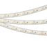 Герметичная светодиодная лента Arlight RTW-PU-A120-10.5mm 12V Cool 8K 5м 029595(3) 1