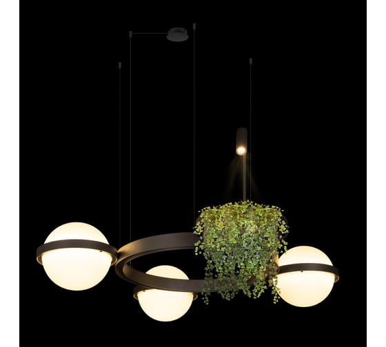 Подвесной светильник LOFT IT Jardin 10121/3 Dark grey