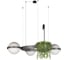 Подвесной светильник LOFT IT Jardin 10121/3 Dark grey 1