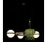 Подвесной светильник LOFT IT Jardin 10121/3 Dark grey 2