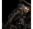 Подвесной светильник LOFT IT Monkey 10314 Black 7
