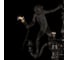 Подвесной светильник LOFT IT Monkey 10314 Black 9