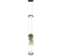 Подвесной светильник LOFT IT Jardin 10121/2P Dark grey