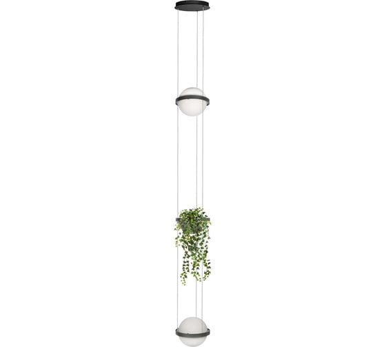 Подвесной светильник LOFT IT Jardin 10121/2P Dark grey