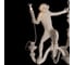 Подвесной светильник LOFT IT Monkey 10314 White 6
