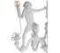 Подвесной светильник LOFT IT Monkey 10314 White 7