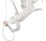 Подвесной светильник LOFT IT Monkey 10314 White 9
