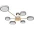 Потолочный светильник LOFT IT Sunrise 10316/6 Grey 1