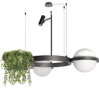 Подвесной светильник LOFT IT Jardin 10121/2 Dark grey