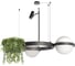 Подвесной светильник LOFT IT Jardin 10121/2 Dark grey 1