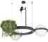 Подвесной светильник LOFT IT Jardin 10121/2 Dark grey 5