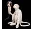 Настольная лампа LOFT IT Monkey 10314T/A 2