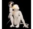 Настольная лампа LOFT IT Monkey 10314T/A 4