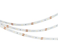 Светодиодная лента Arlight NT-A60-8mm 12V Warm2700 5м 040615